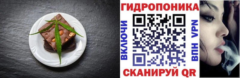 магазин продажи наркотиков  Жиздра  Canna-Cookies конопля 